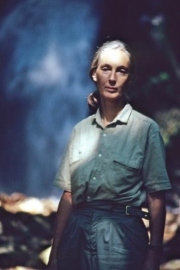 Jane Goodall
